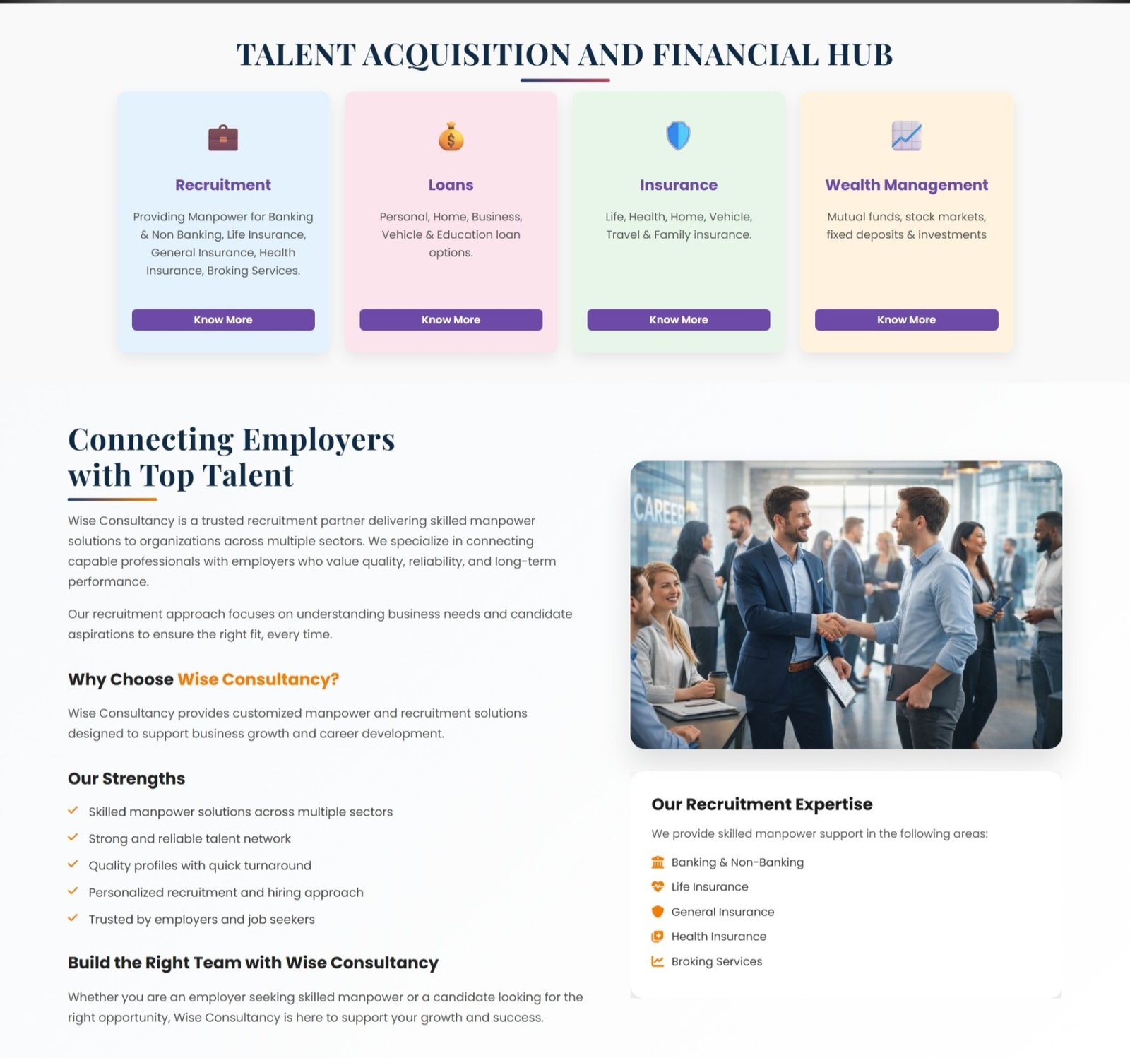 Wise Consultancy Website